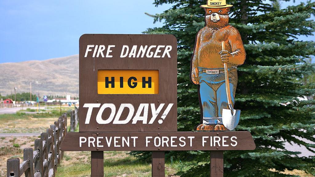 US resumes setting intentional fires in national forests after review